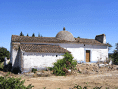 /album/murabits/31-gif/